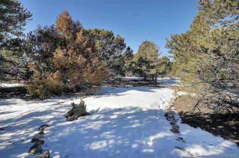 13419 Elk Trail Salida CO 81201