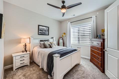 3981 Old Oaks Street Castle Rock CO 80104