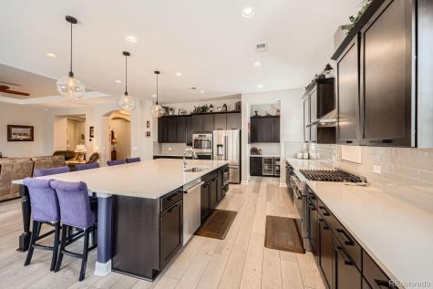 3981 Old Oaks Street Castle Rock CO 80104