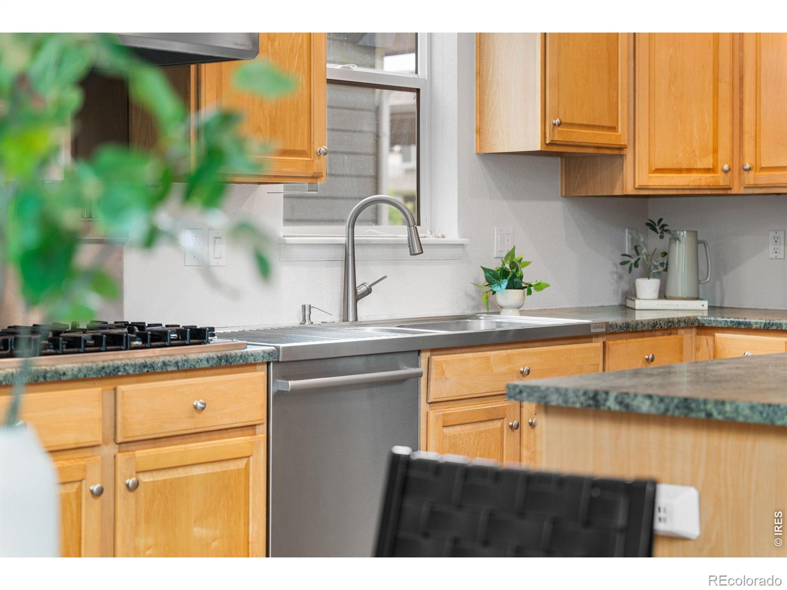 3832 Observatory Drive Fort Collins CO 80528