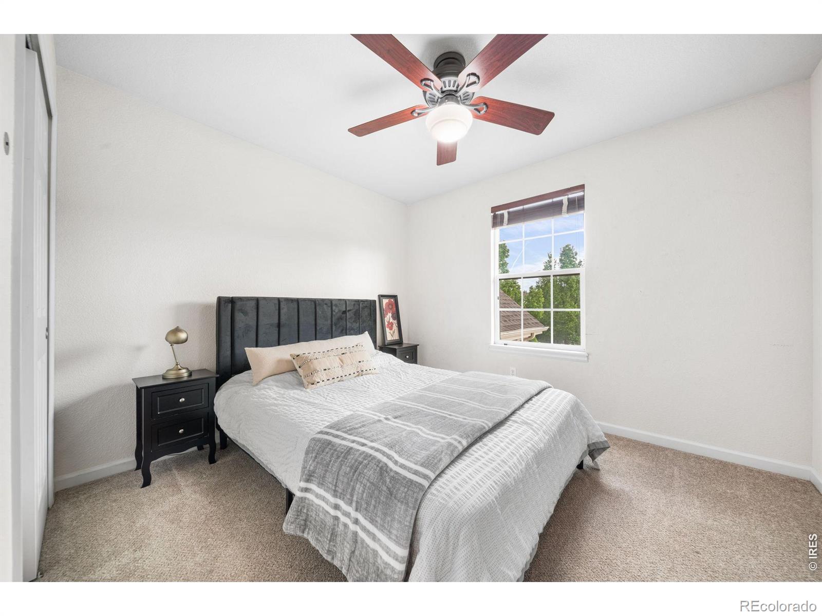3832 Observatory Drive Fort Collins CO 80528