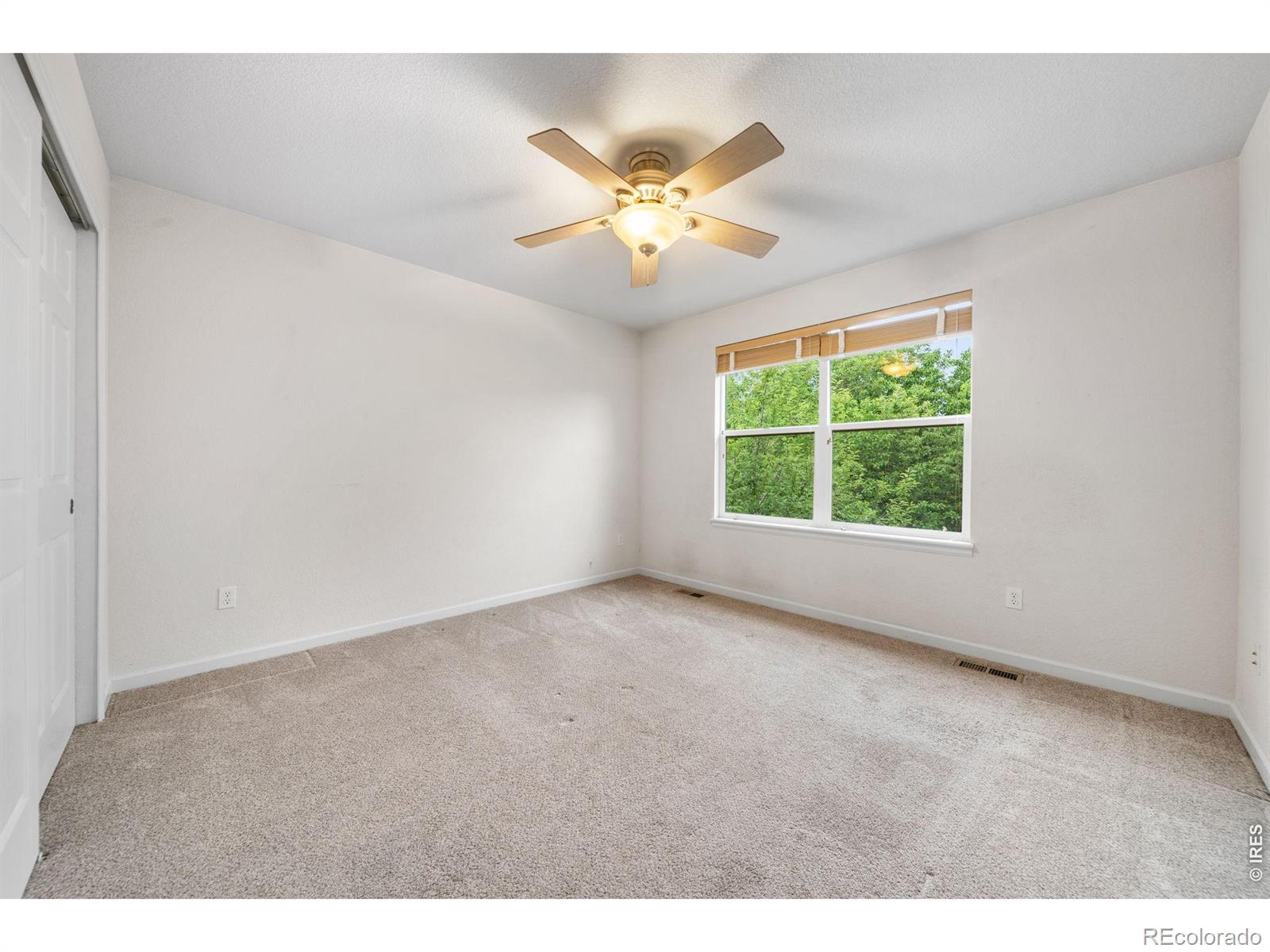 3832 Observatory Drive Fort Collins CO 80528