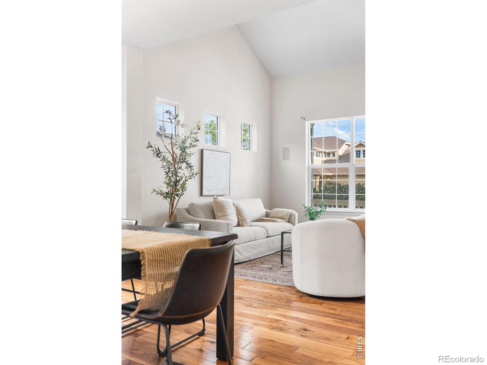 3832 Observatory Drive Fort Collins CO 80528