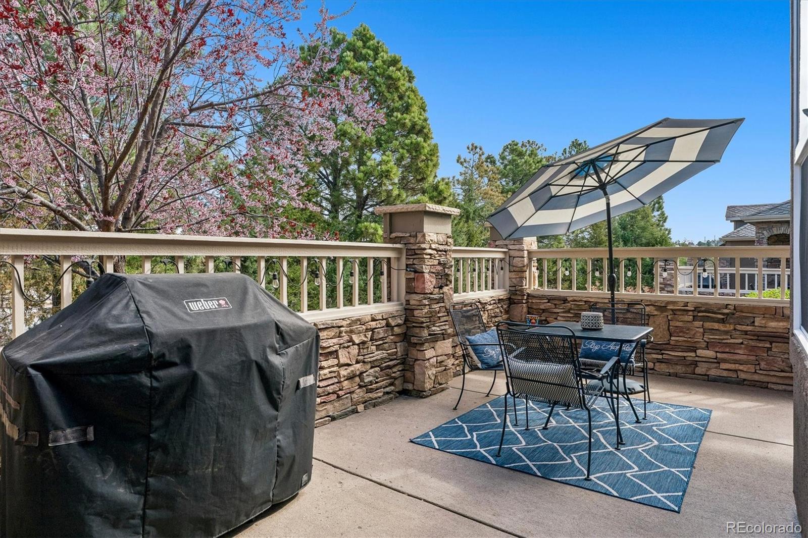 631 Sherman Street Castle Pines CO 80108