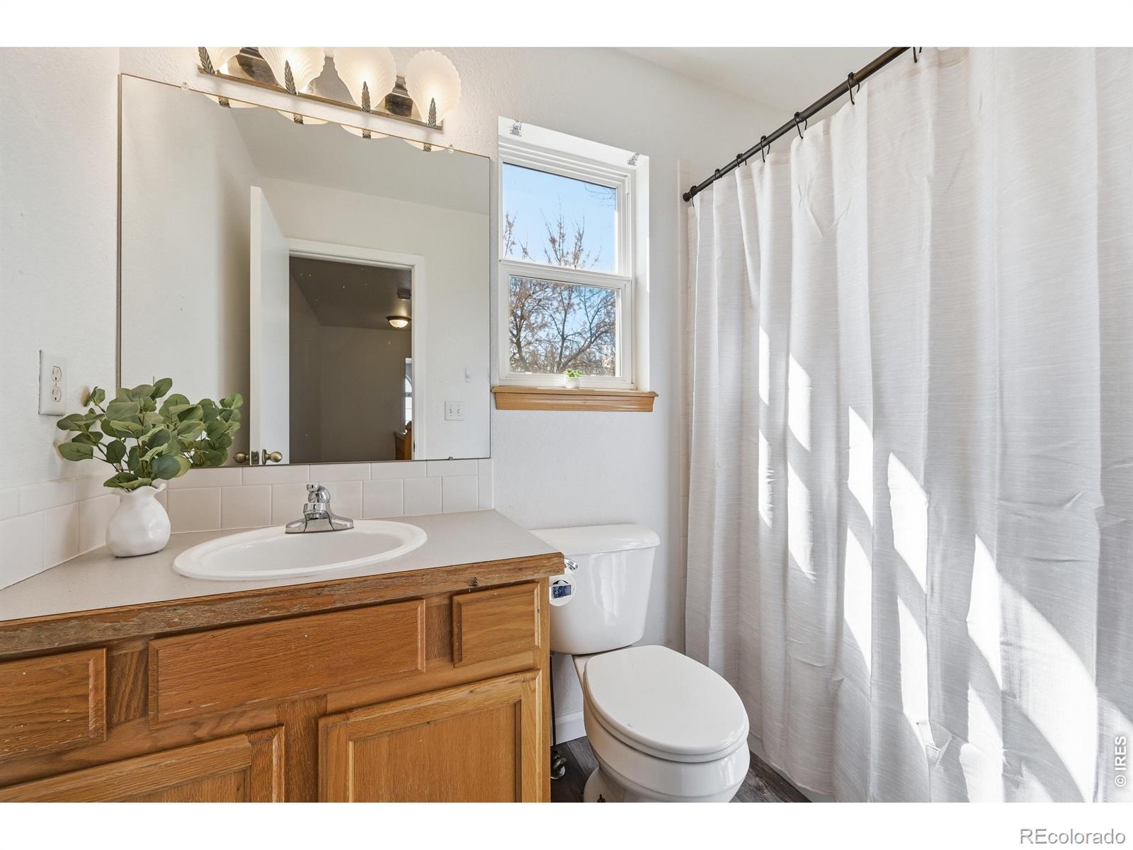 938 Wisteria Drive Loveland CO 80538