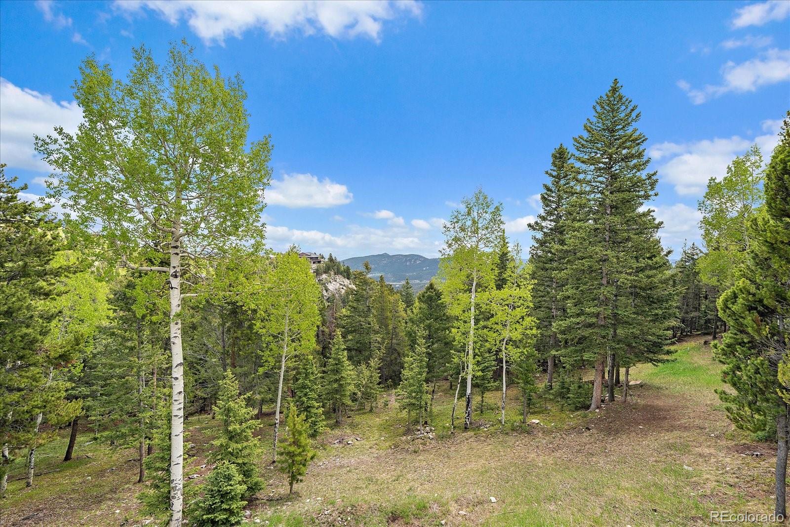 11222 Conifer Mountain Road Conifer CO 80433