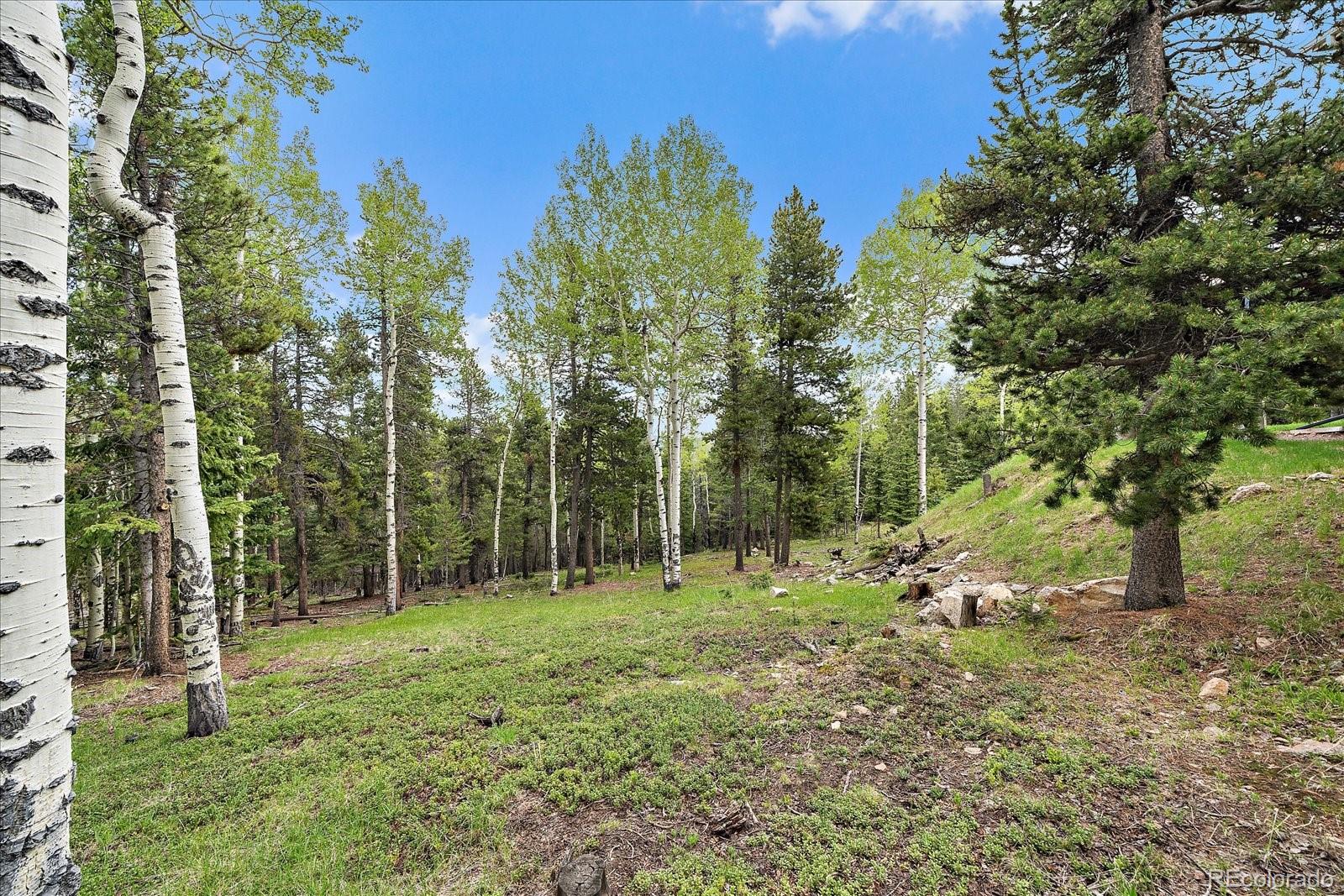 11222 Conifer Mountain Road Conifer CO 80433