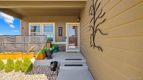 7507 Forest Valley Loop Colorado Springs CO 80908