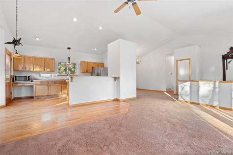 349 Gunsmoke Drive Bailey CO 80421
