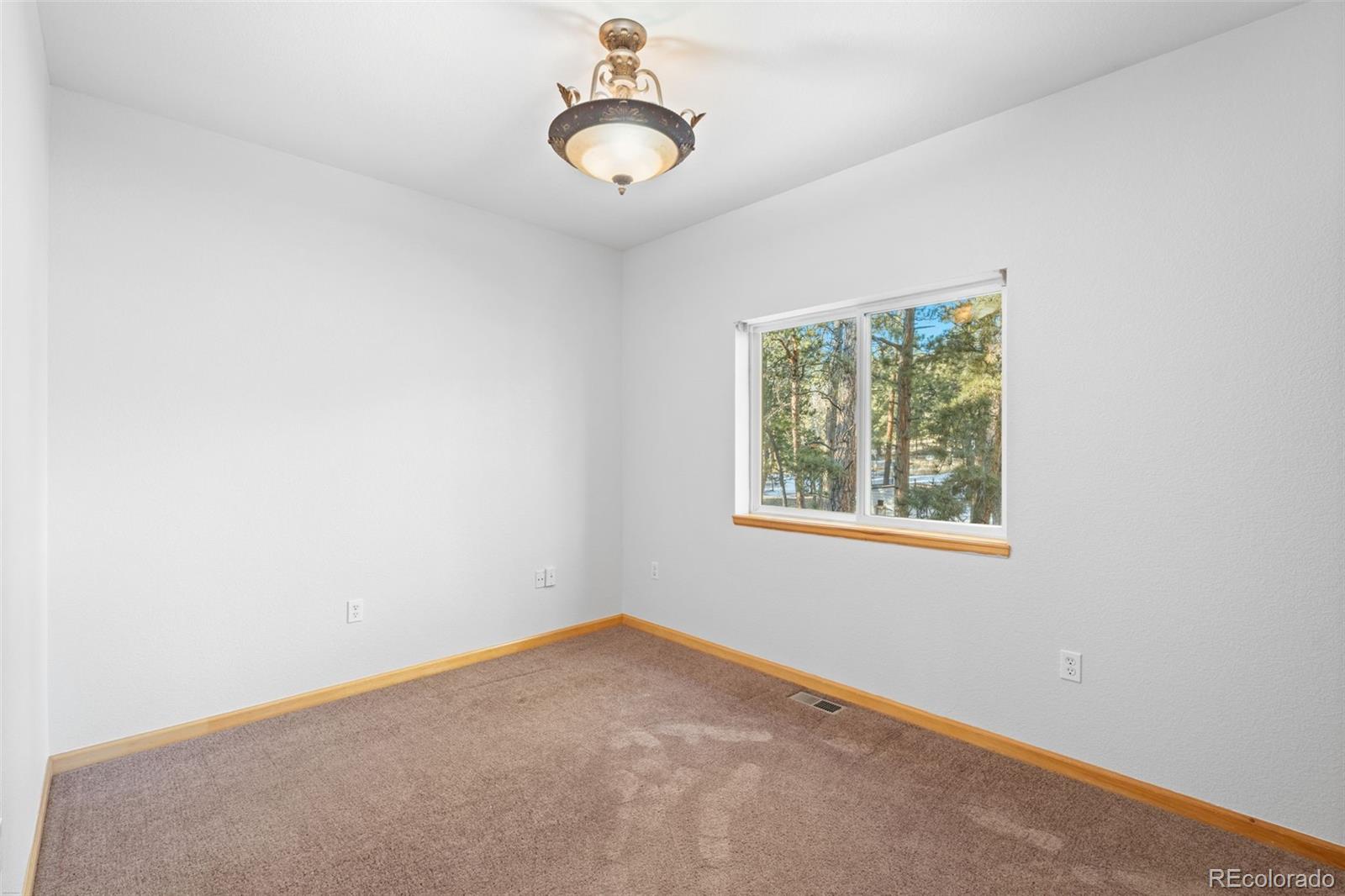 349 Gunsmoke Drive Bailey CO 80421