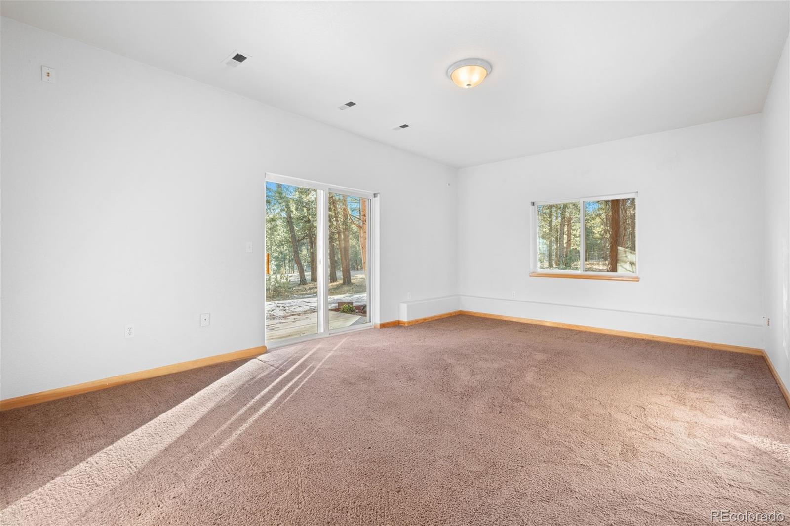349 Gunsmoke Drive Bailey CO 80421