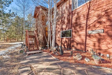 349 Gunsmoke Drive Bailey CO 80421