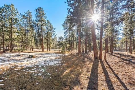 349 Gunsmoke Drive Bailey CO 80421