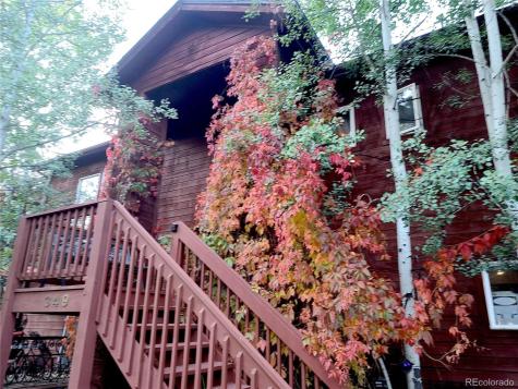 349 Gunsmoke Drive Bailey CO 80421