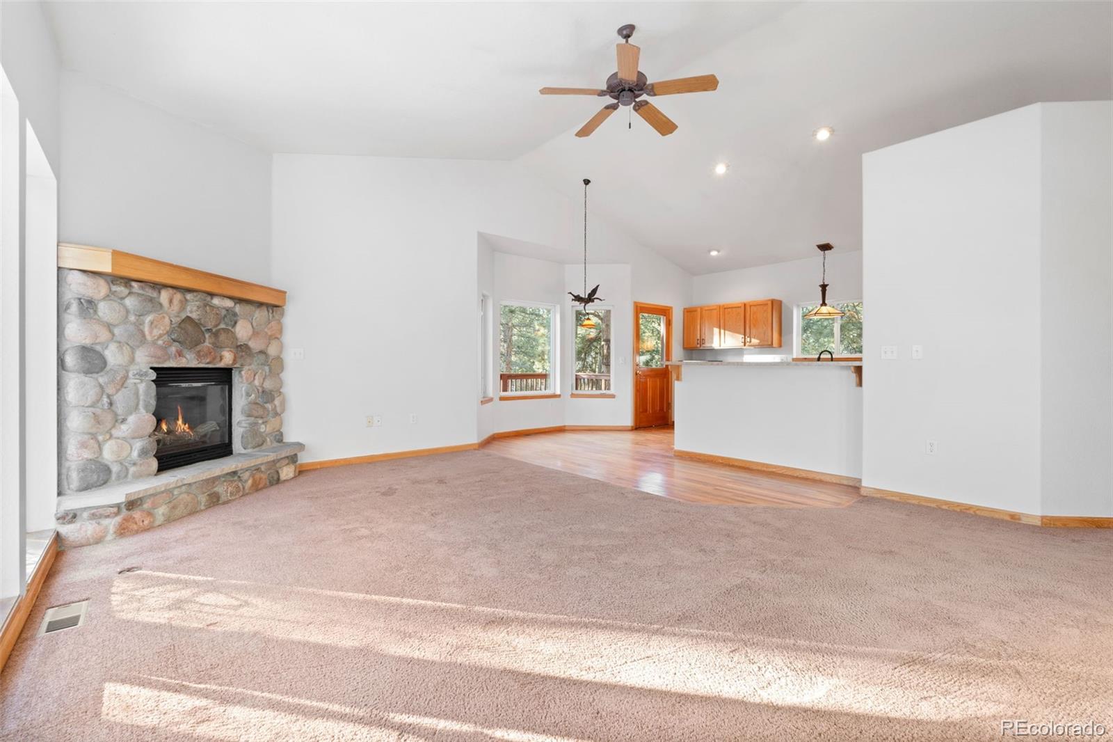 349 Gunsmoke Drive Bailey CO 80421