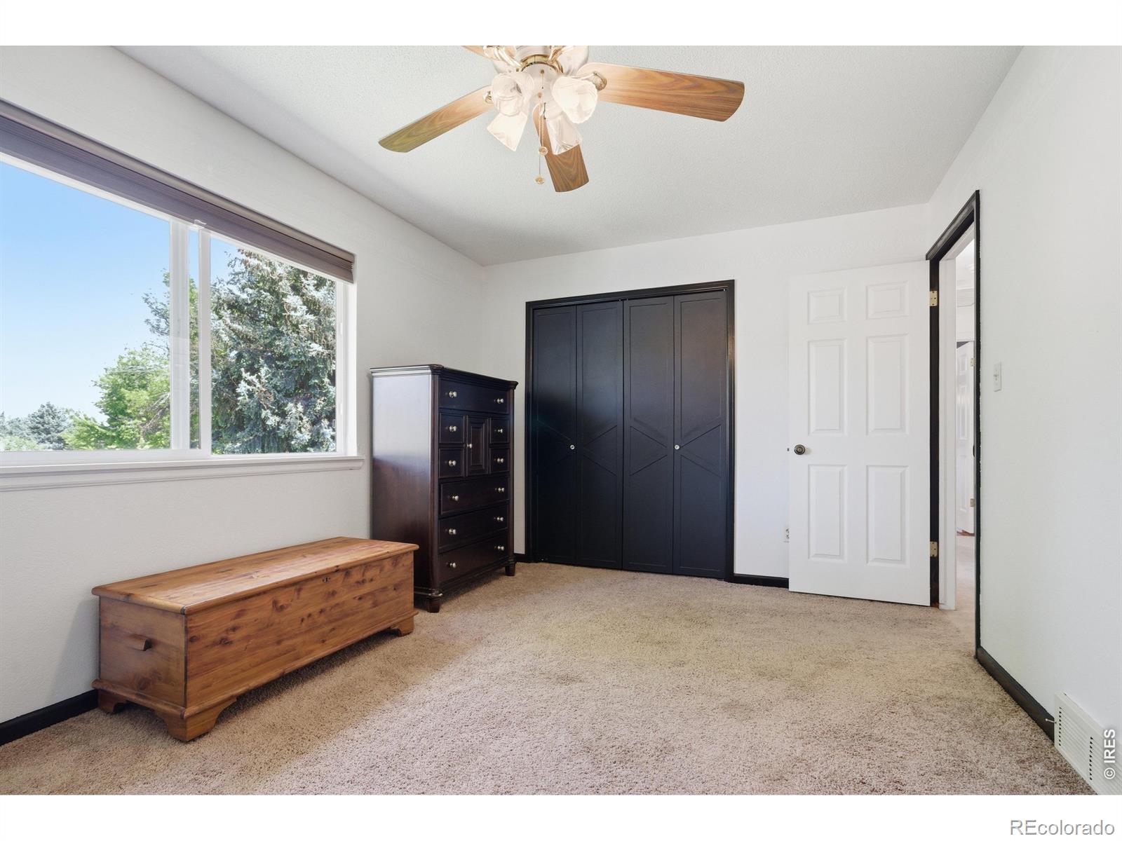 3409 34th Street Greeley CO 80634