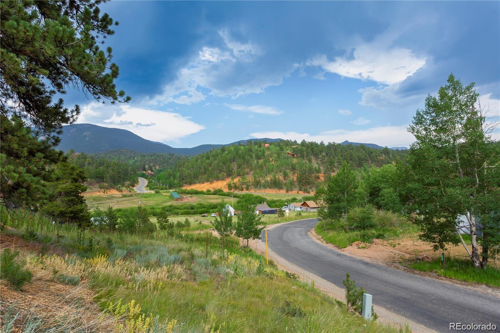 1555 Shelton Drive Bailey CO 80421