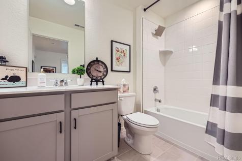 16135 Mountain Flax Drive Monument CO 80132