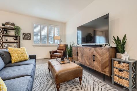 16135 Mountain Flax Drive Monument CO 80132