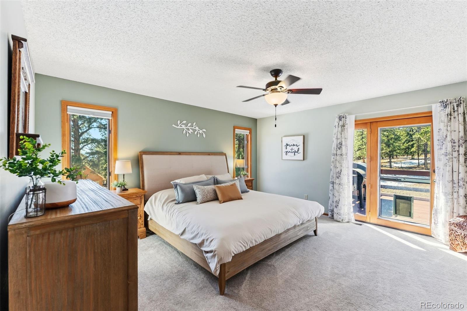 18360 Trail West Drive Buena Vista CO 81211