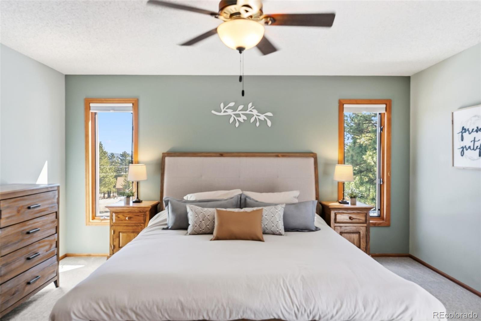 18360 Trail West Drive Buena Vista CO 81211