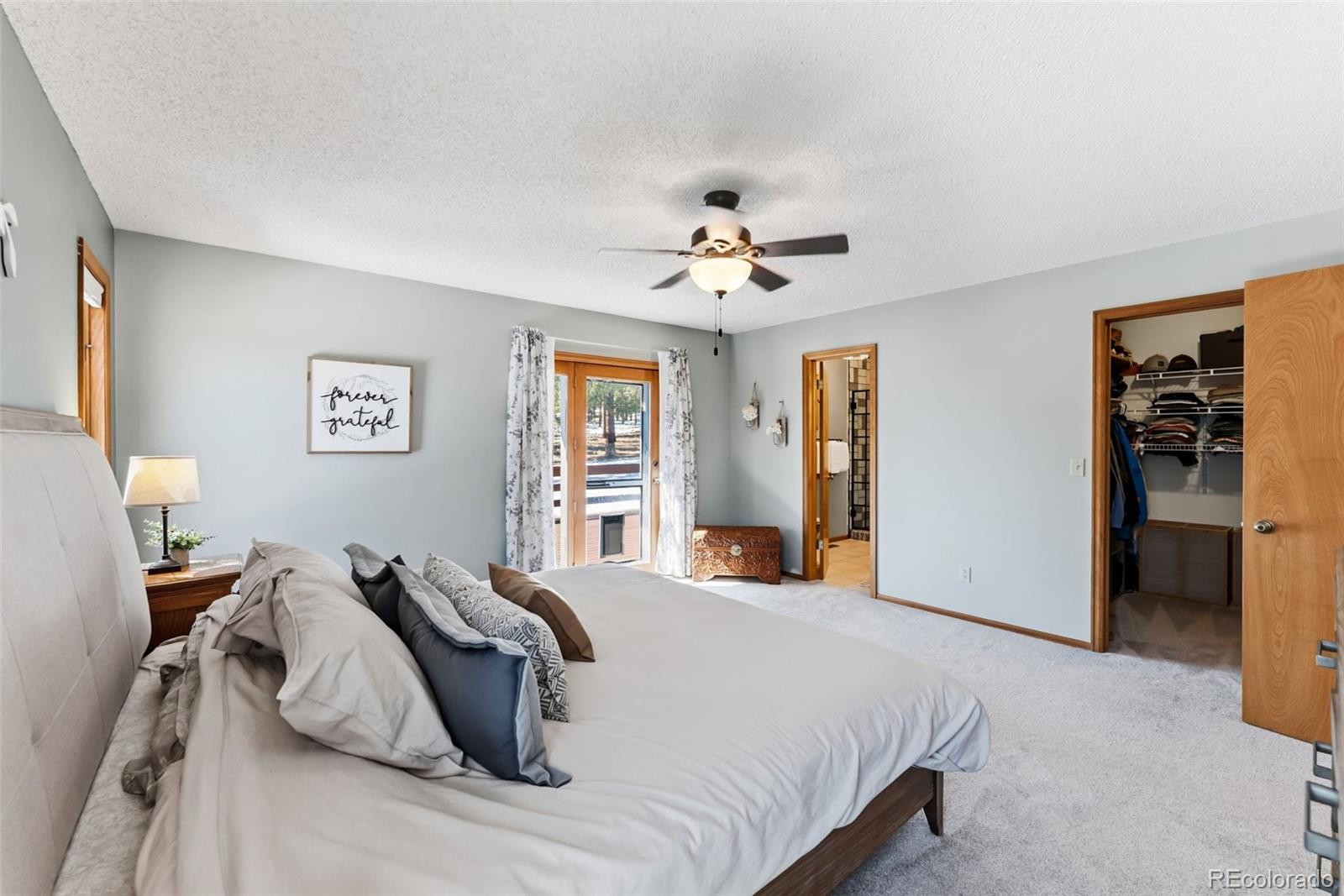 18360 Trail West Drive Buena Vista CO 81211