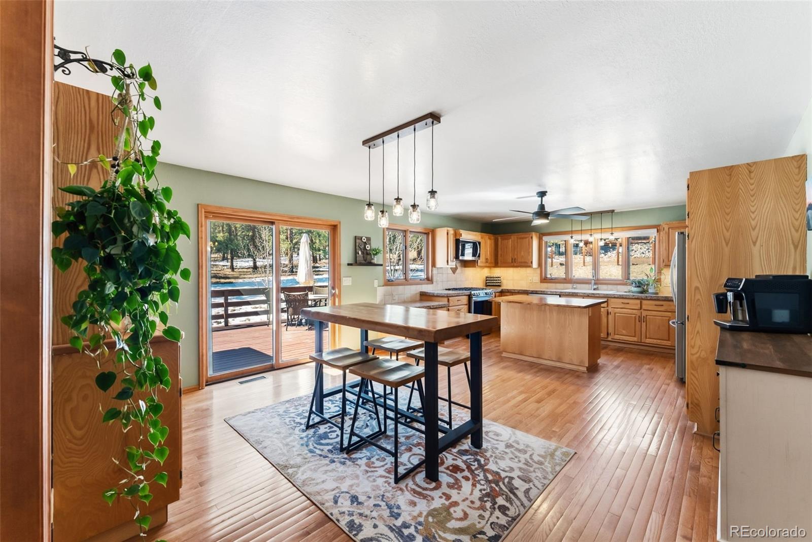 18360 Trail West Drive Buena Vista CO 81211