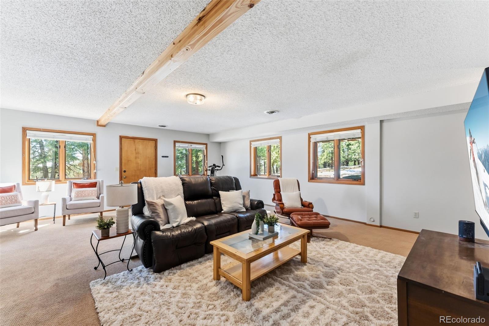 18360 Trail West Drive Buena Vista CO 81211