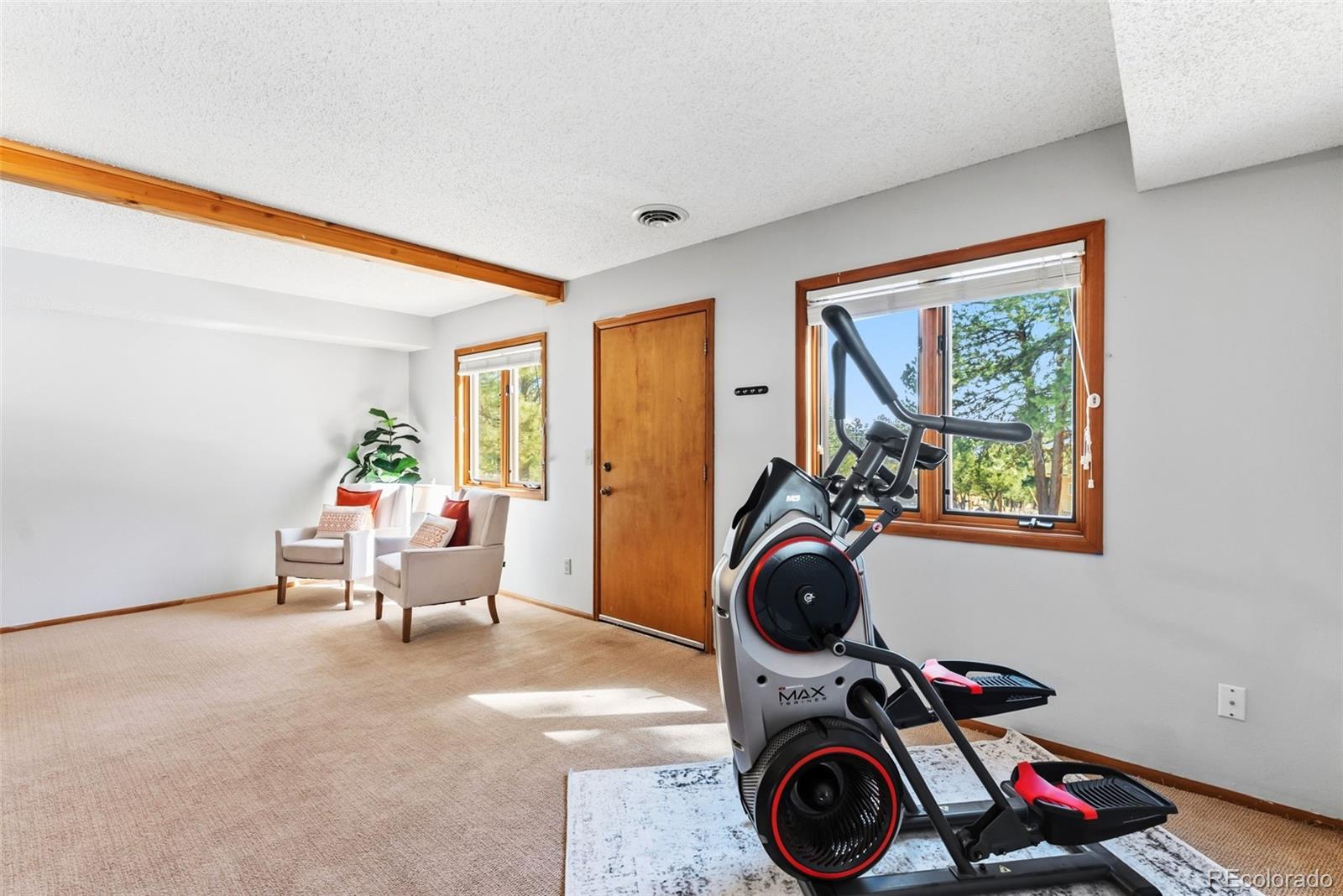 18360 Trail West Drive Buena Vista CO 81211