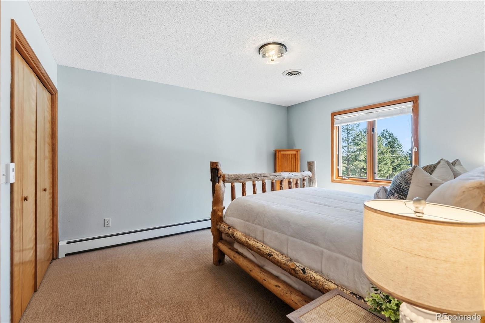 18360 Trail West Drive Buena Vista CO 81211
