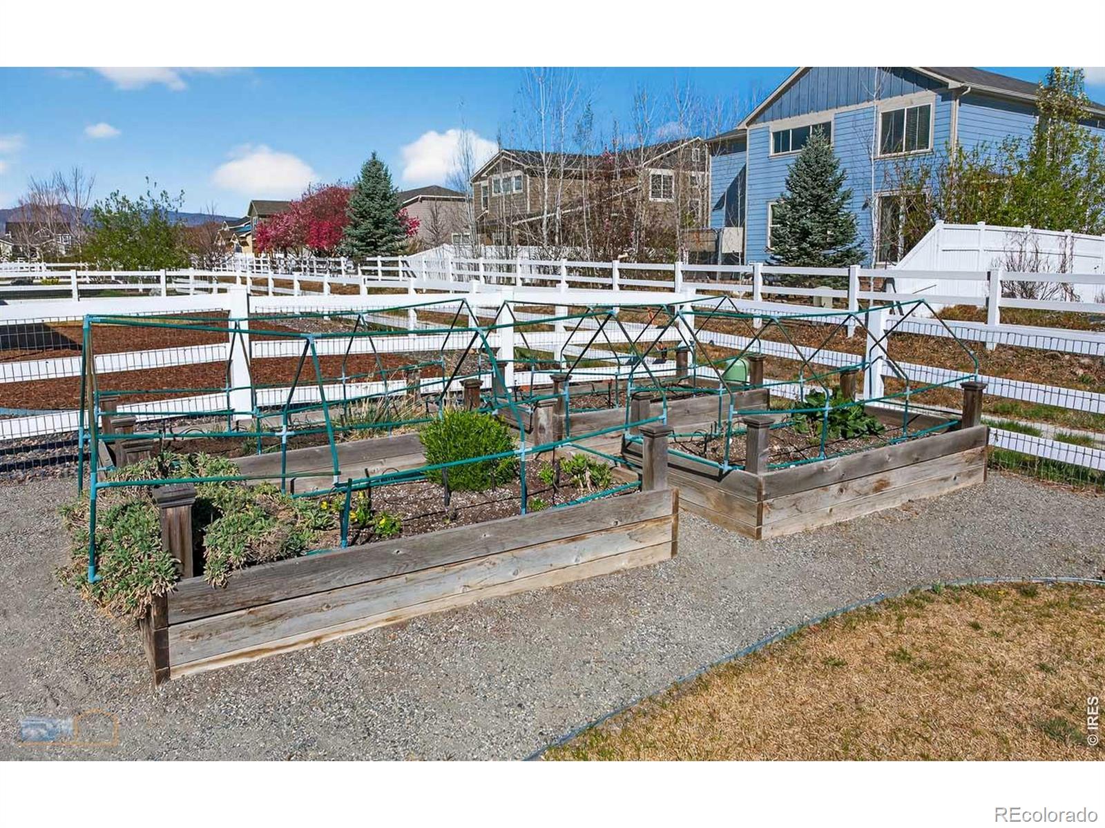 5002 Maxwell Avenue Longmont CO 80503