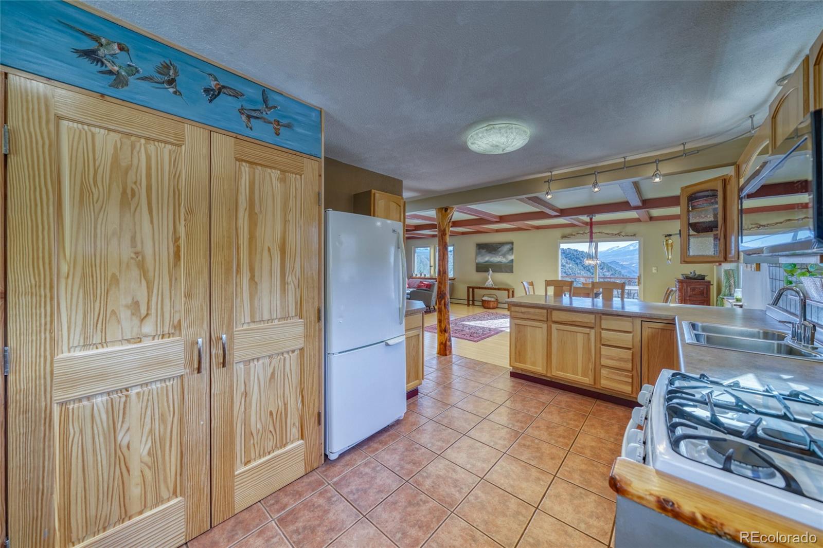 4351 County Road 12 Cotopaxi CO 81223
