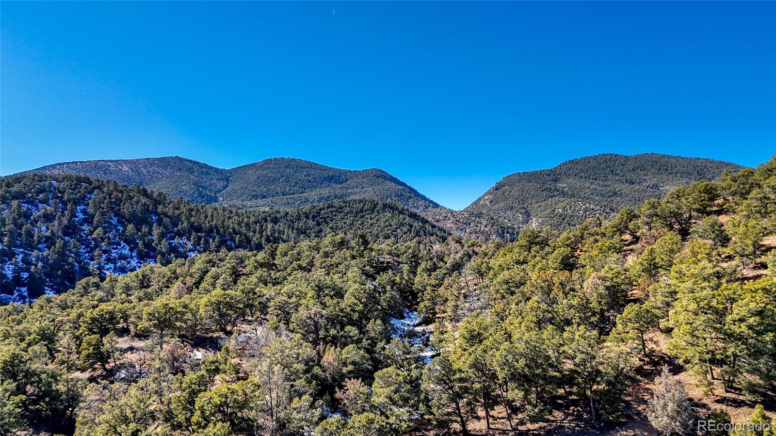 4351 County Road 12 Cotopaxi CO 81223