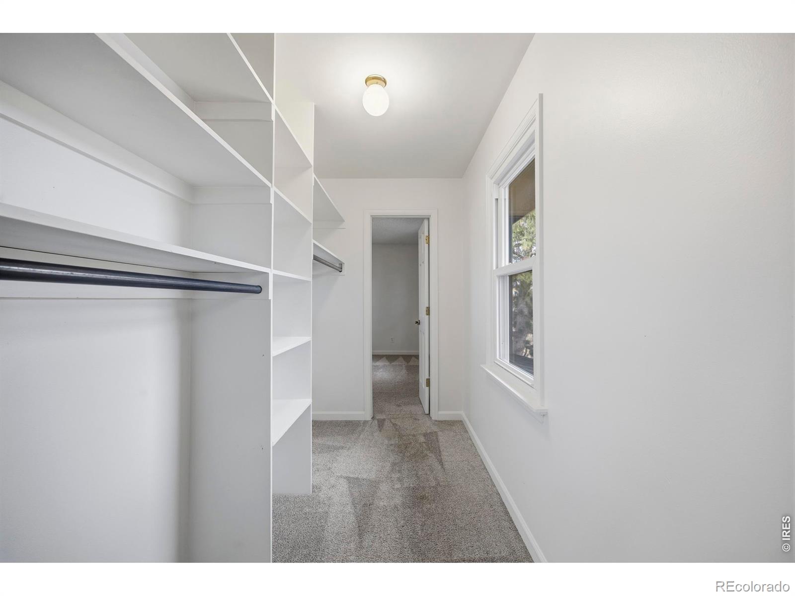 101 Callie Court Loveland CO 80537