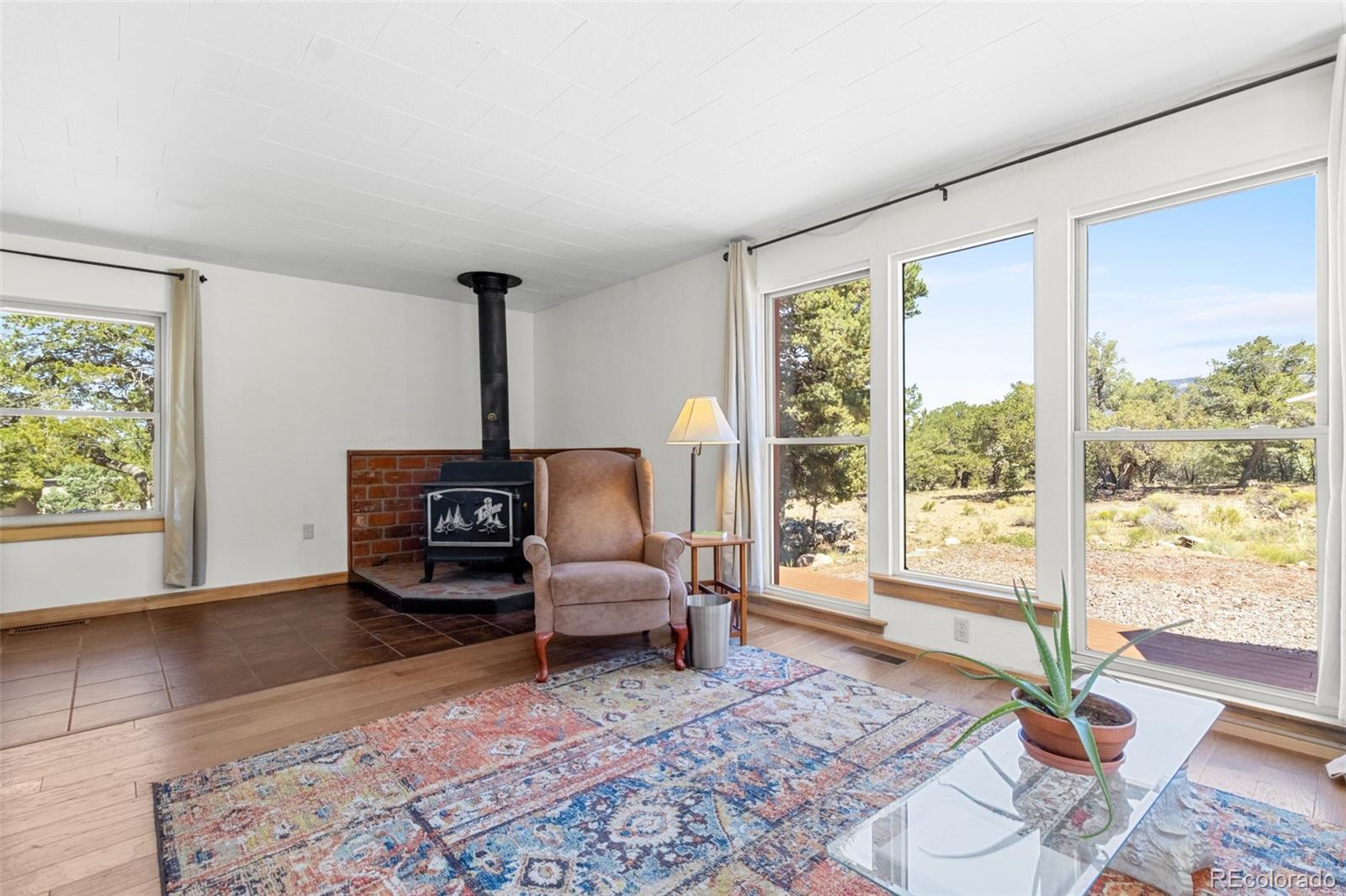 3520 Forest Trail Crestone CO 81131