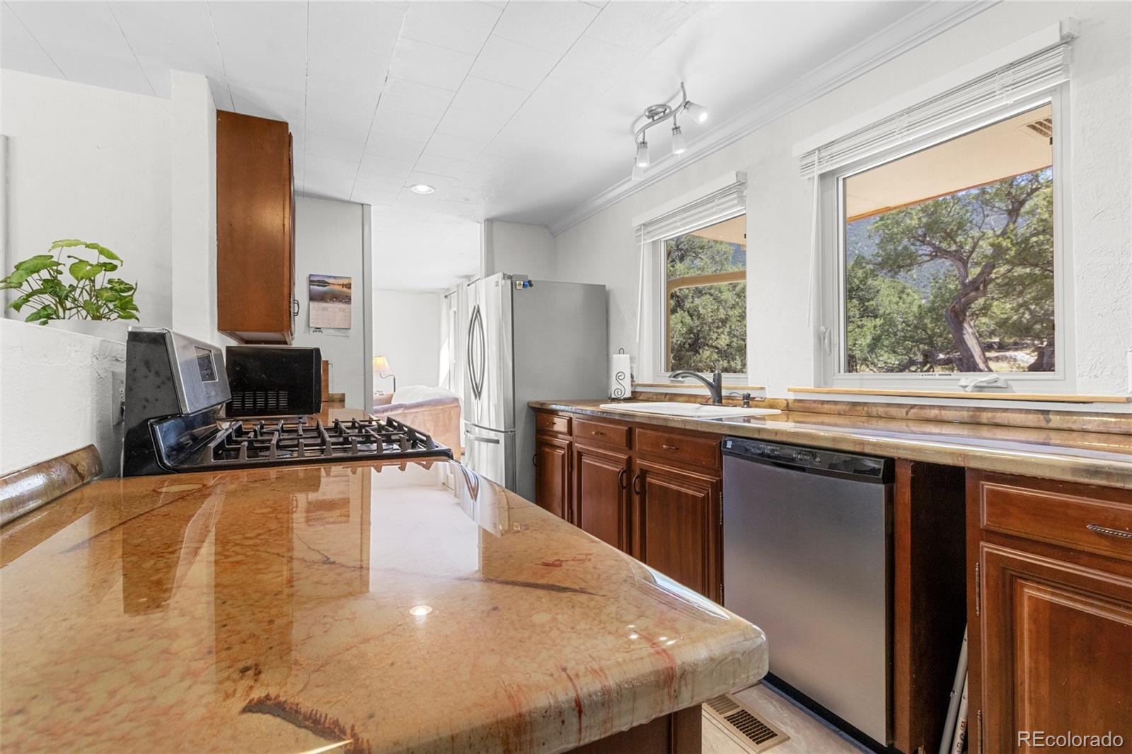 3520 Forest Trail Crestone CO 81131