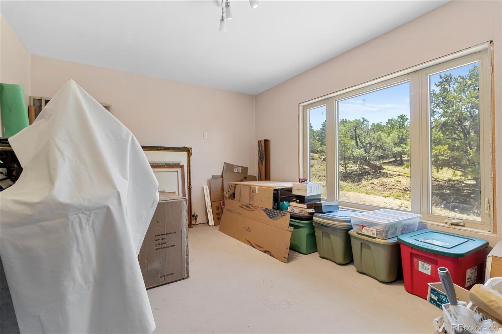 3520 Forest Trail Crestone CO 81131