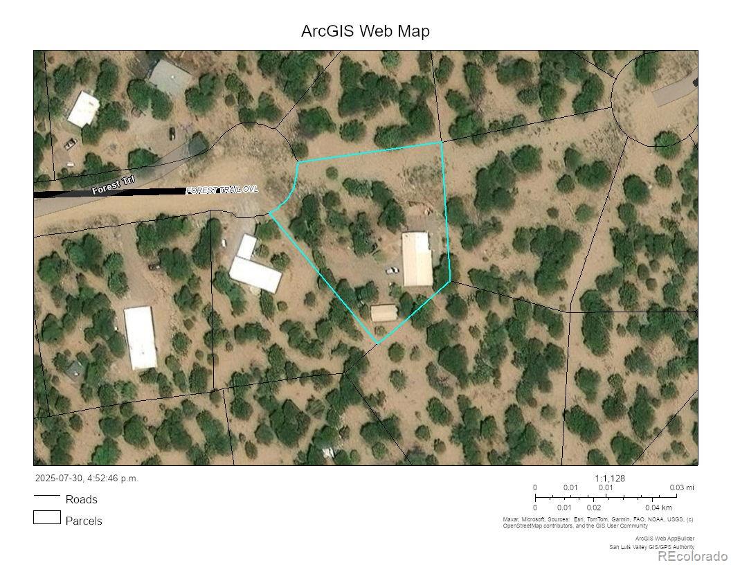 3520 Forest Trail Crestone CO 81131