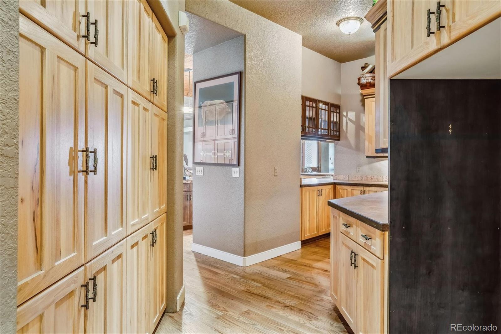 9983 Heather Drive Castle Rock CO 80108