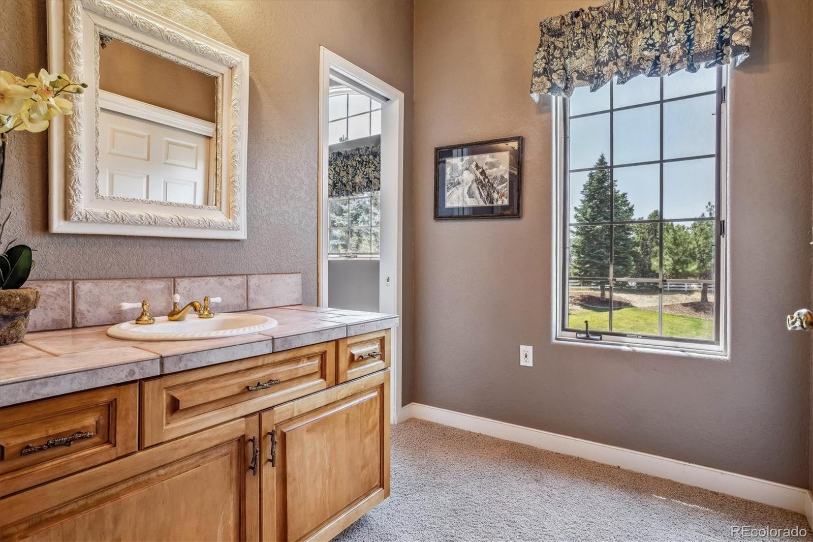 9983 Heather Drive Castle Rock CO 80108