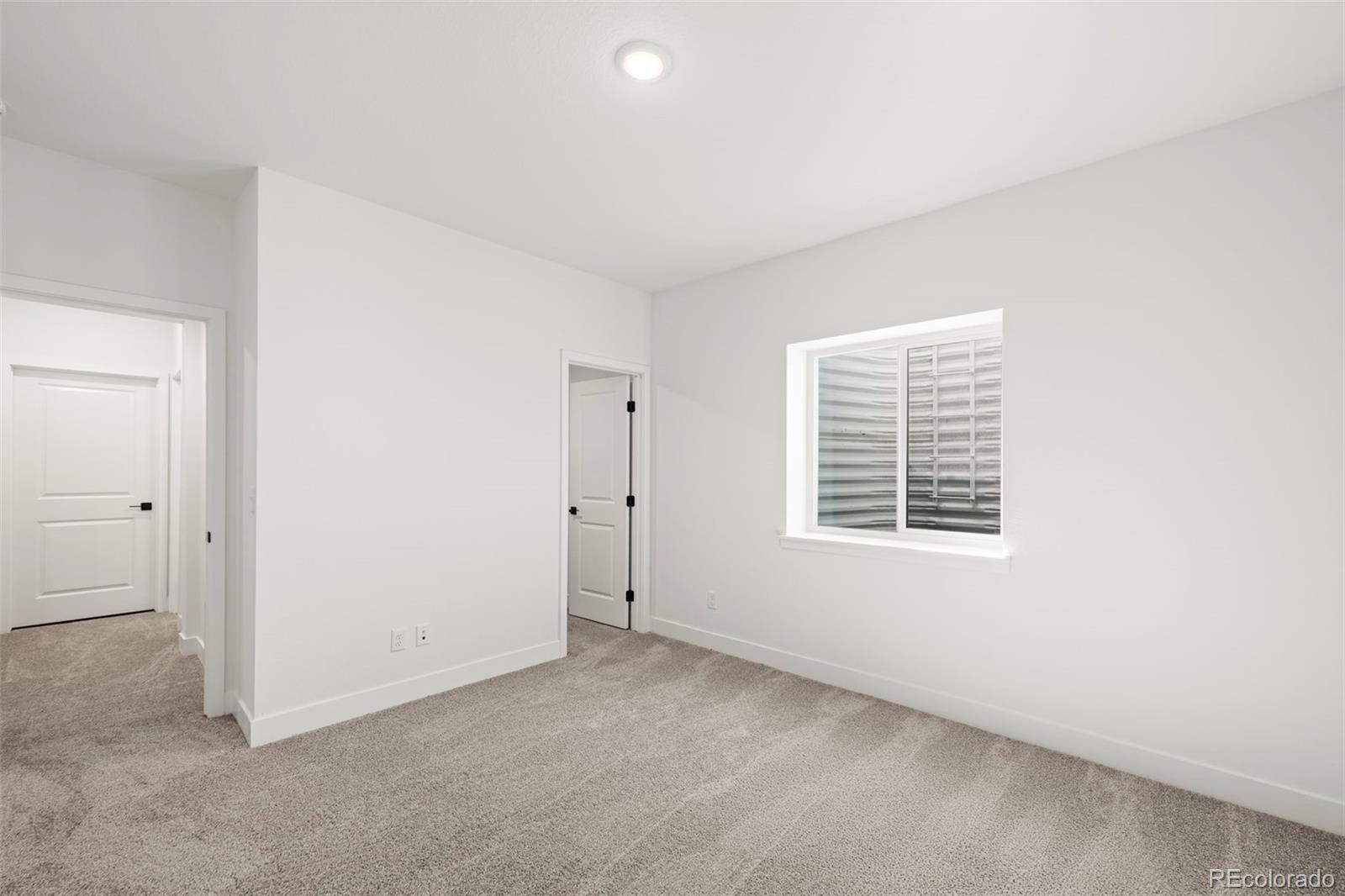 3795 Emerald Shore Circle Loveland CO 80538