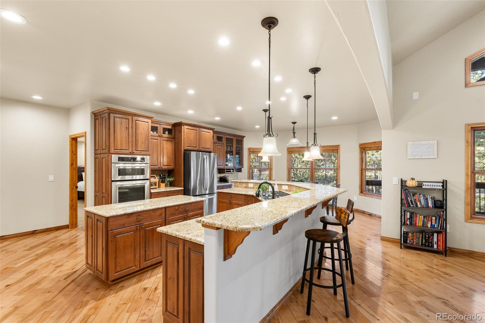 1485 Gore Circle Larkspur CO 80118