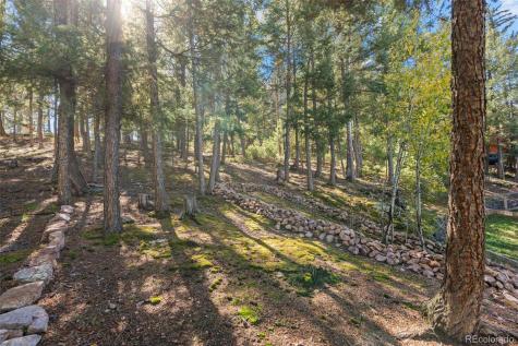 27882 Bonanza Drive Evergreen CO 80439