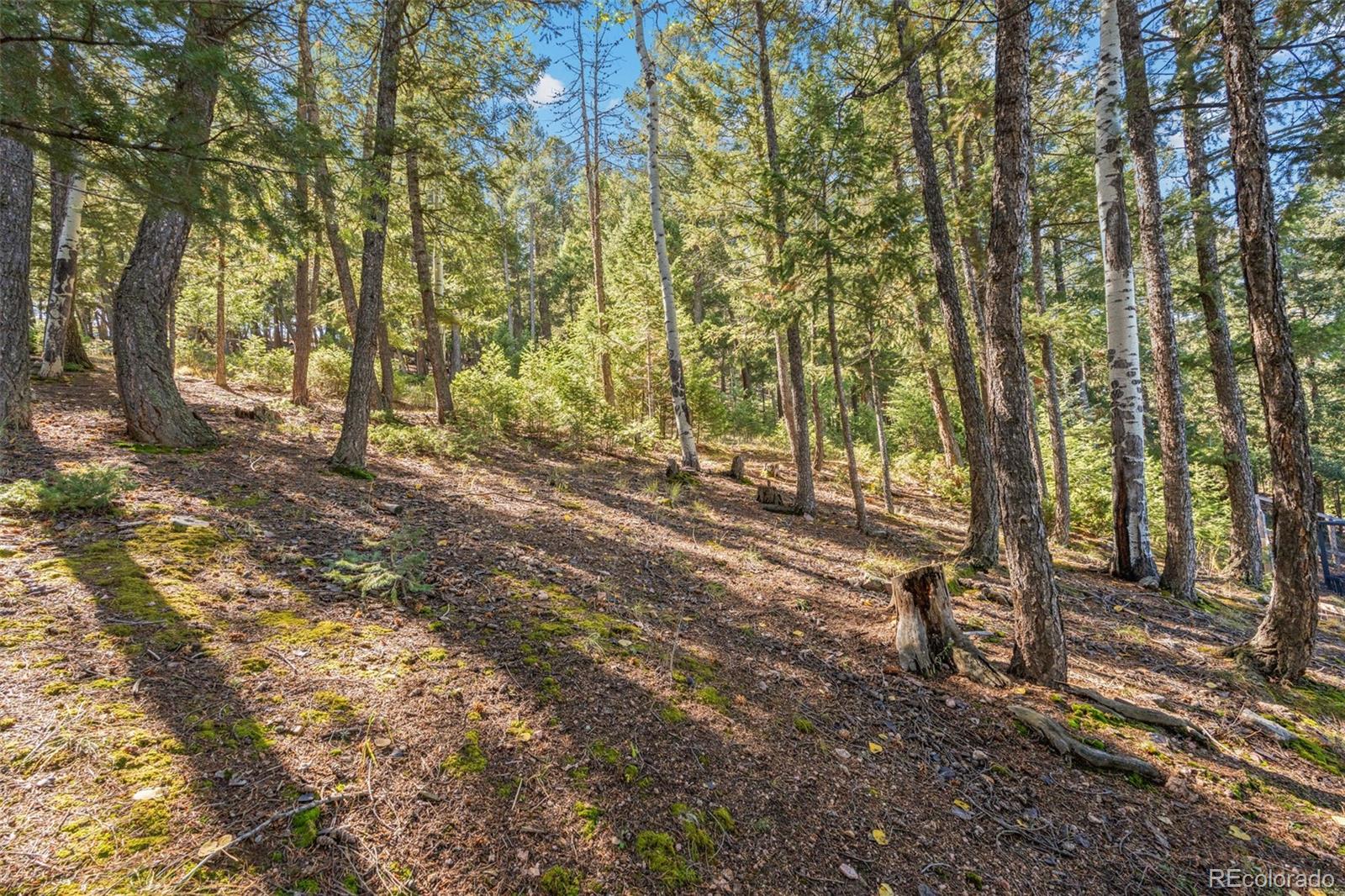 27882 Bonanza Drive Evergreen CO 80439