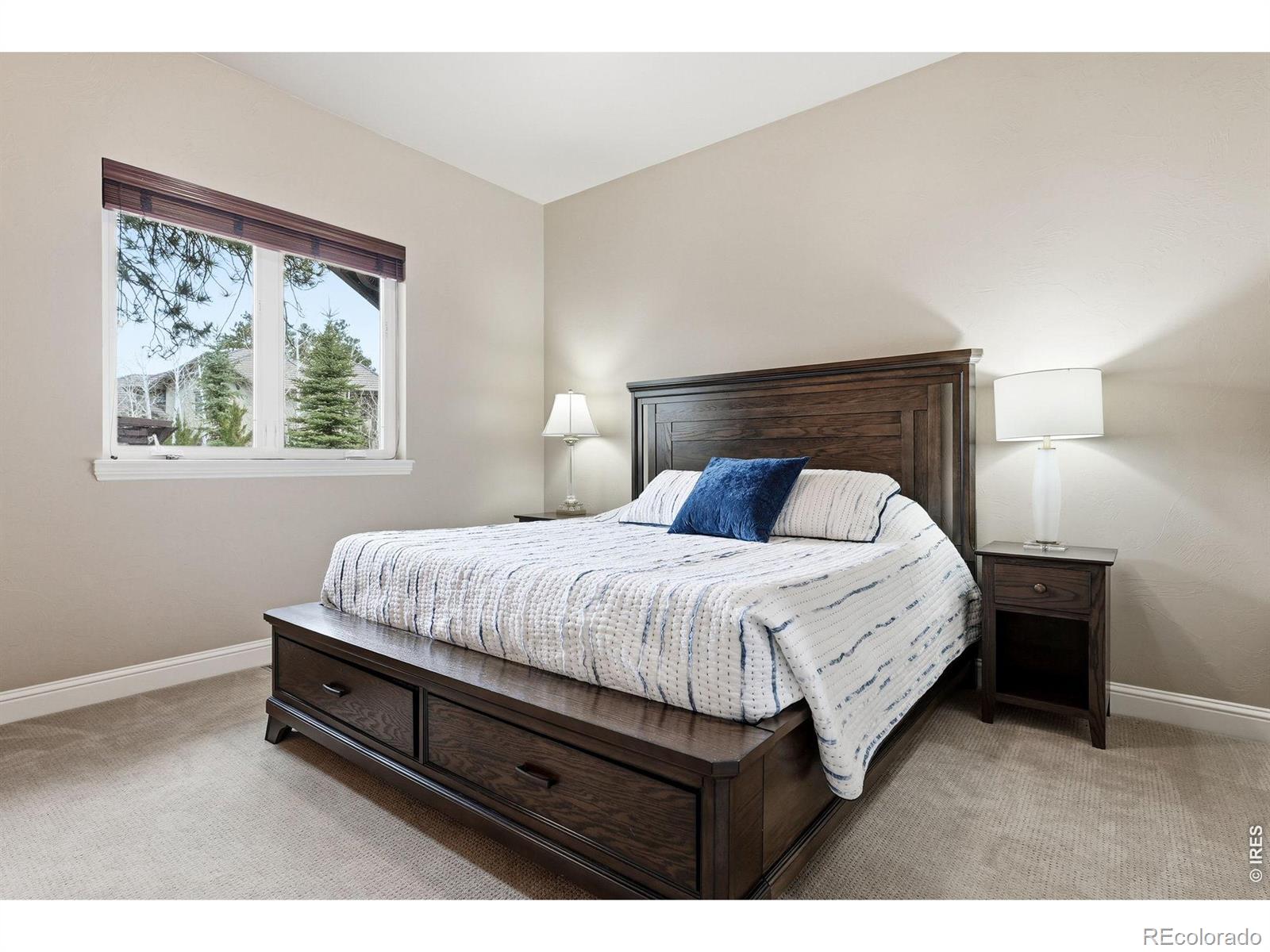 5025 Knobcone Drive Castle Rock CO 80108