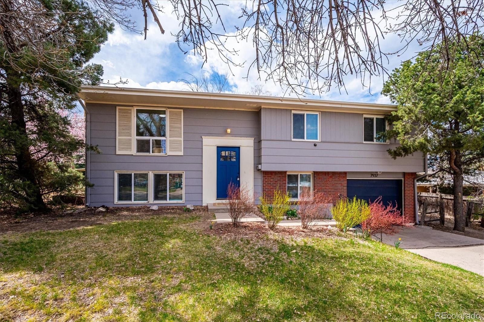 7937 W Chestnut Drive Littleton CO 80128
