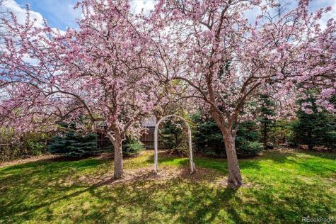 7937 W Chestnut Drive Littleton CO 80128