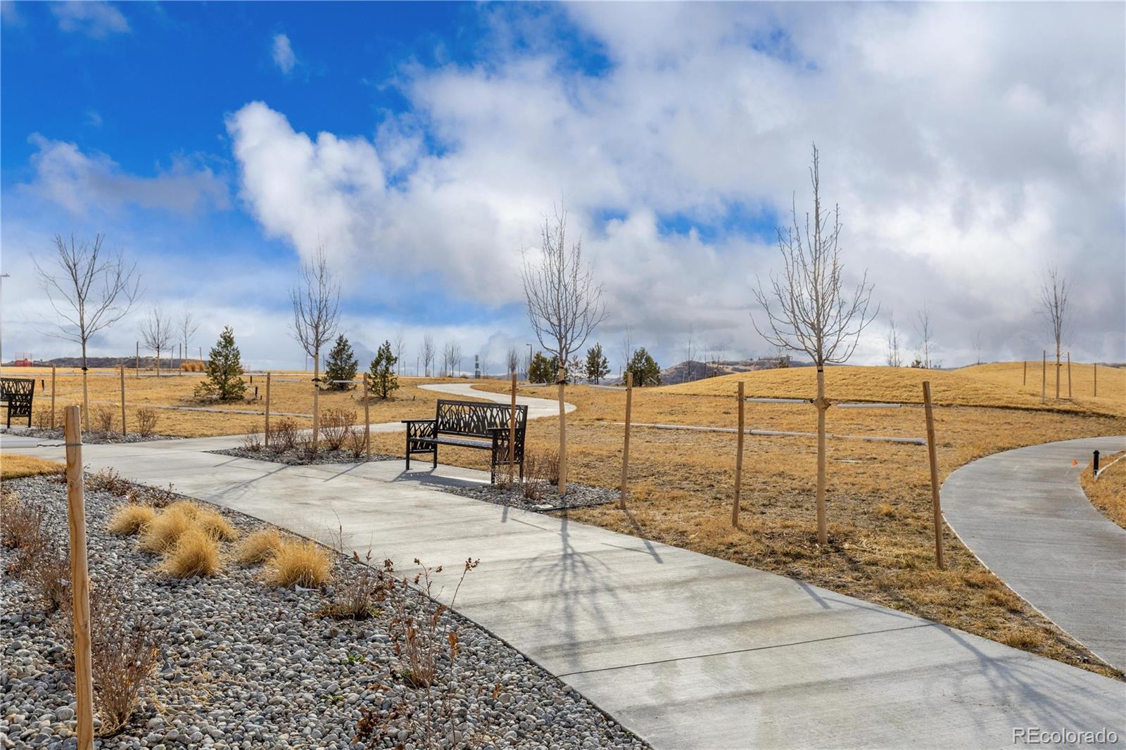 16772 Dry Camp Drive Parker CO 80134