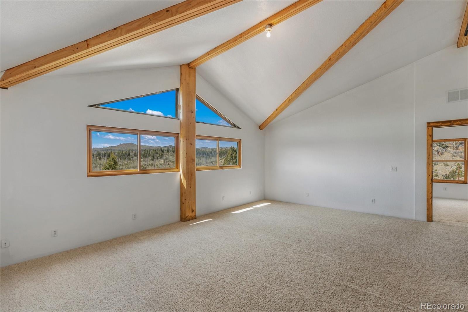 392 Brooks Lane Woodland Park CO 80863