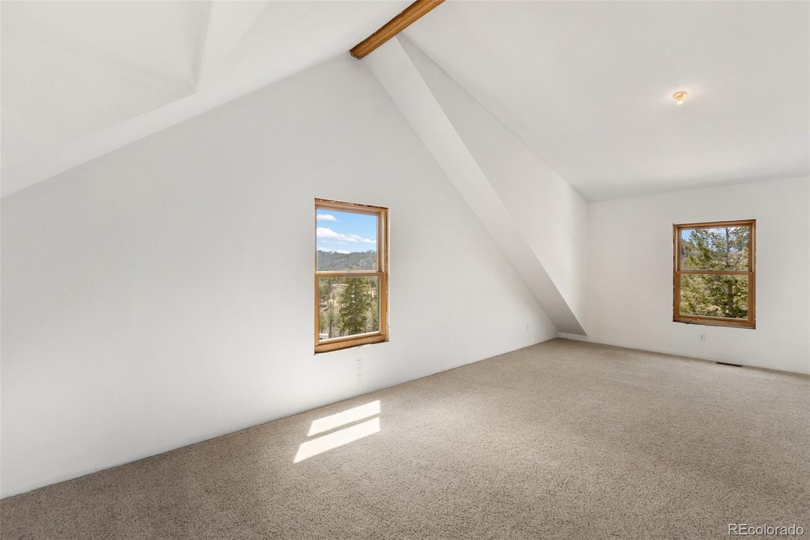 392 Brooks Lane Woodland Park CO 80863
